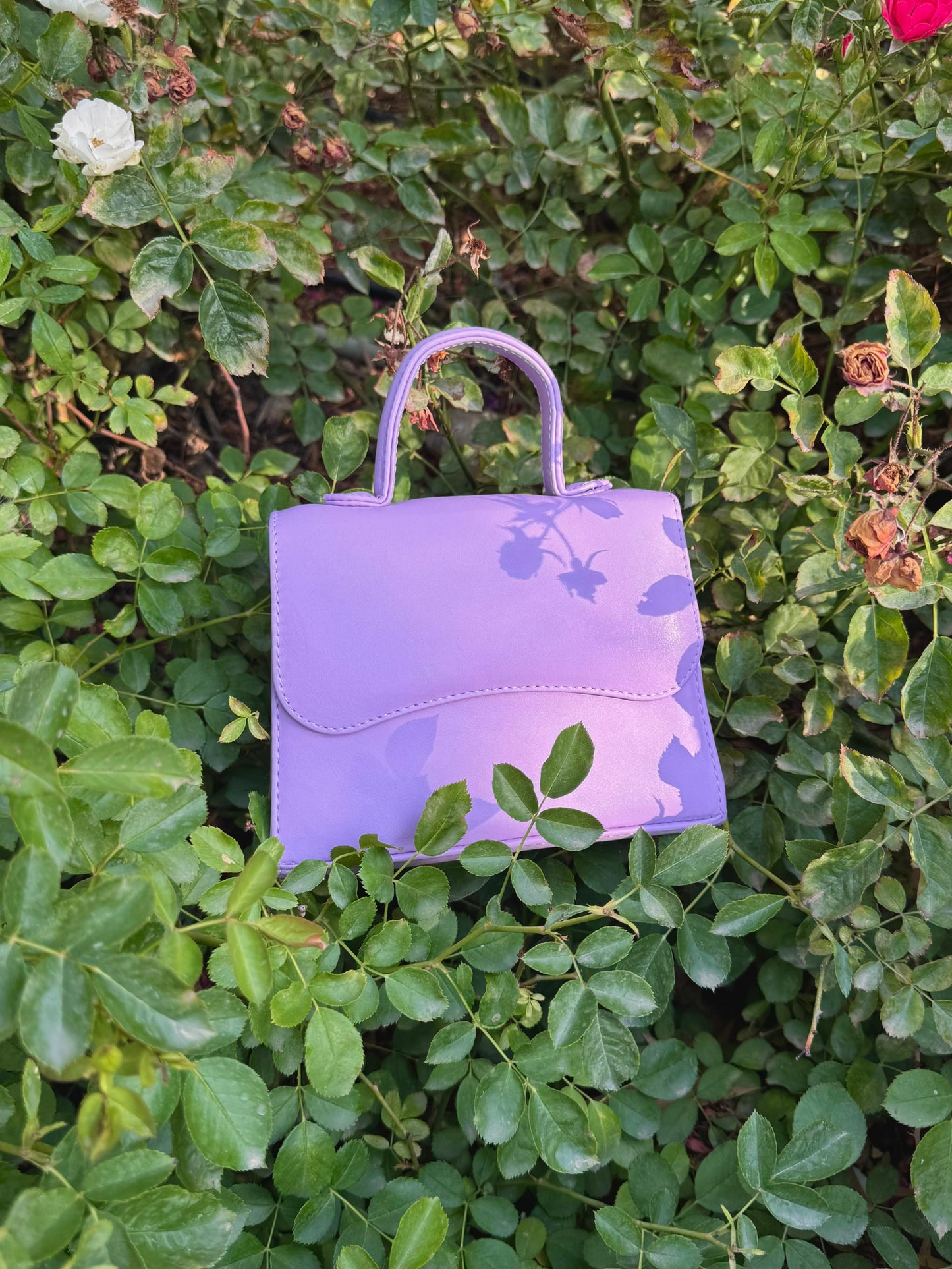 Lilac Léa
